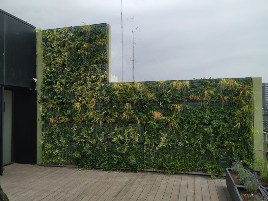 pared-vegetal-edificio-beethoven.jpg