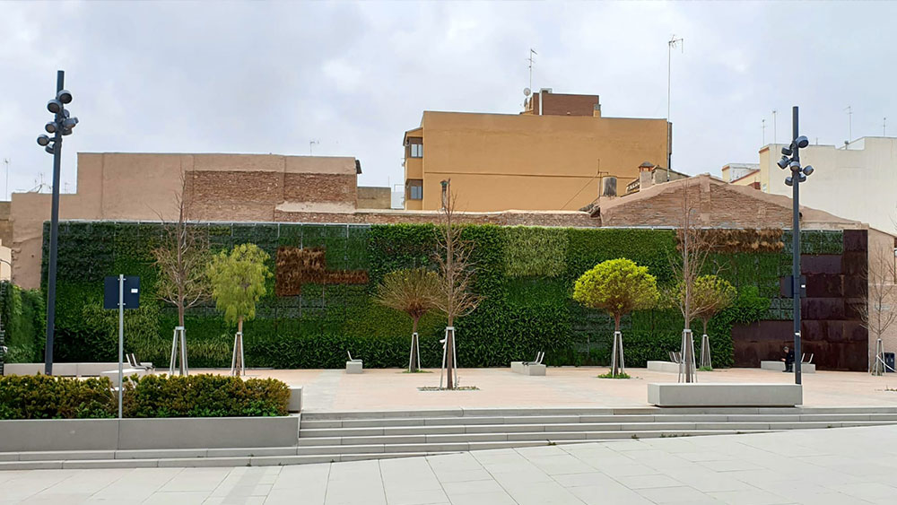 Muro vegetal en Valencia