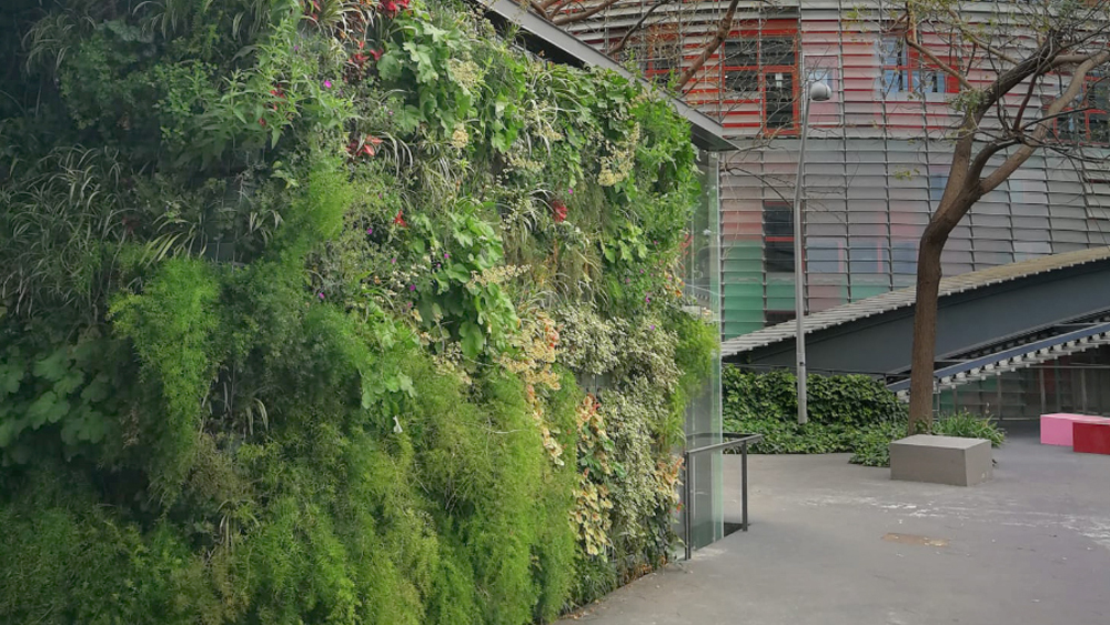 Muro vegetal en Barcelona