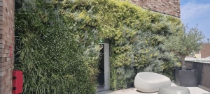 Los beneficios de los espacios verdes en ciudades