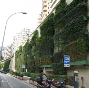 Babylon Cr&eacute;Aline Trepadoras