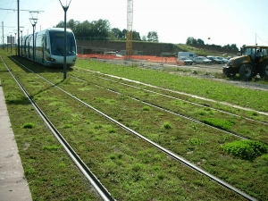 5 ejemplos de cubiertas verdes para transformar ciudades