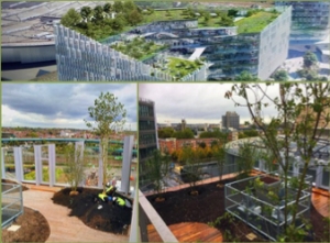 Cubiertas ajardinadas