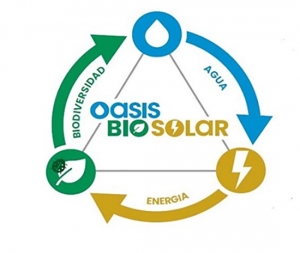 Oasis Biosolar: Techo verde y paneles solares: &iexcl;el d&uacute;o perfecto!
