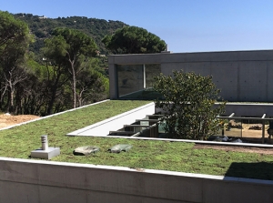 Beneficios de instalar cubiertas vegetales en los edificios