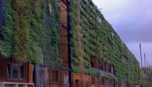 Depuraci&oacute;n in situ. Pared vegetal Babylon