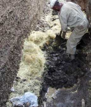 Xornadas de Xardiner&iacute;a de Galicia &amp; Resiliencia vegetal