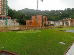 Acondicionamos un parque ajardinado de 3.000 m2