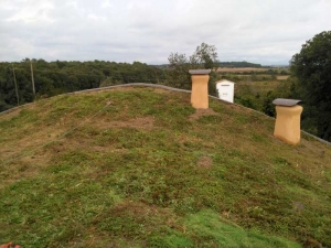 Importancia del mantenimiento en cubiertas vegetales y paredes verdes