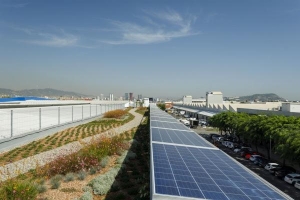 Ayudas para la creaci&oacute;n de cubiertas verdes en Barcelona