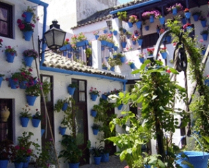 La &uacute;nica salida: 50% VERDE y 50% GRIS. La decisi&oacute;n salom&oacute;nica. La LIVING MACHINE. PARJAP C&oacute;rdoba 23-25 Abril