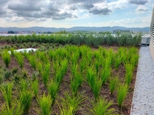 Breve resumen de obras realizadas en 2021