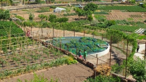 Boia de fitodepuraci&oacute;n