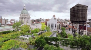 Haciendo Nueva York Bird Friendly: Una nueva encuesta contar&aacute; las cubiertas vegetales de la ciudad