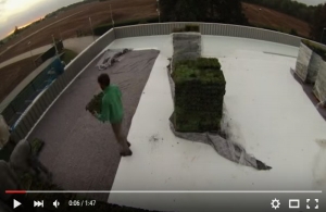 Proceso ejecuci&oacute;n hydropack