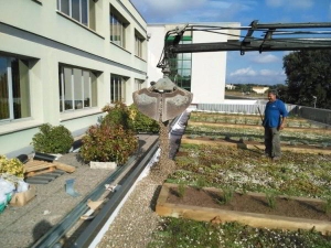 La grava en cubiertas vegetales