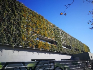 Jardiner&iacute;a vertical: Una soluci&oacute;n para tu hogar o negocio