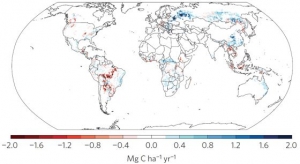 La cubierta vegetal del planeta aumenta