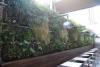 Muro vegetal con refrigeración evaporativa