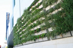 El equipo Sacramento Kings de la NBA tiene un centro deportivo sustentable