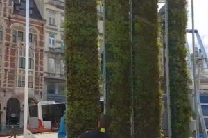 City Tree de Bruselas para purificar el aire igual a 275 &aacute;rboles