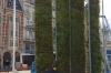 City Tree de Bruselas para purificar el aire igual a 275 árboles