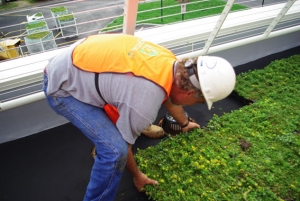 Instalaci&oacute;n y mantenimiento