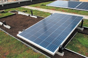 &iquest;Conoces nuestras soluciones de cubiertas vegetales en edificios?