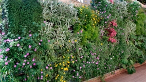 Dise&ntilde;o biof&iacute;lico