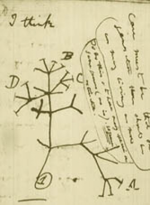 La realidad mundial actual